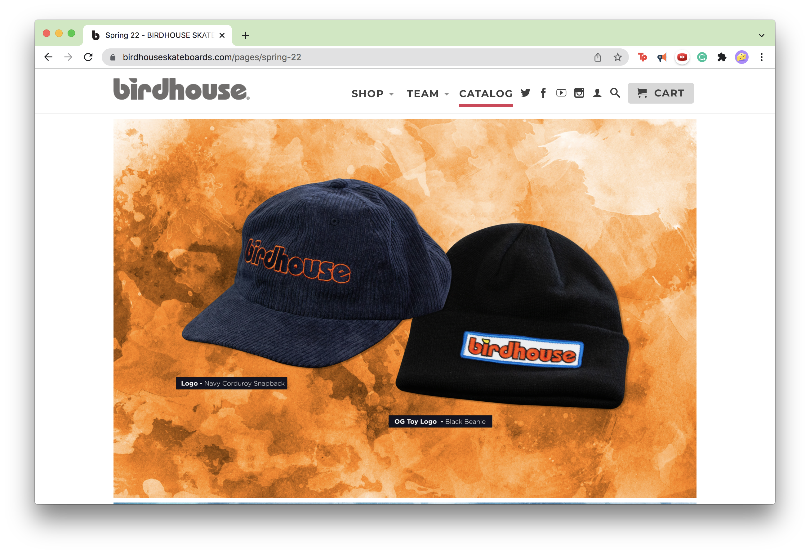 Screenshot of the catalog page of the Birdhouse website.