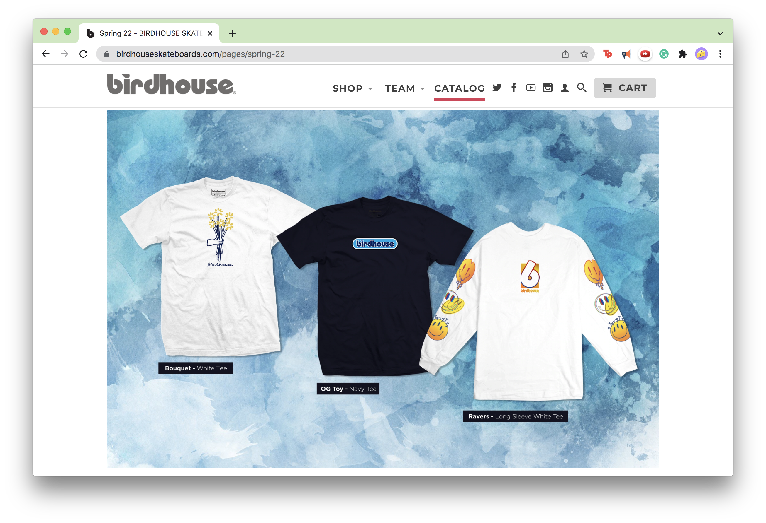 Screenshot of the catalog page of the Birdhouse website.